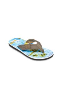 Japonki plażowe męskie Quiksilver MOLOKAI LAYBACK. Okazja: na plażę. Kolor: niebieski. Sezon: lato