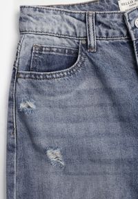 Born2be - Niebieskie Bawełniane Jeansy Typu Palazzo Ozdobione Przetarciami i Dziurami Erivaine. Okazja: na co dzień. Stan: podwyższony. Kolor: niebieski. Wzór: aplikacja. Styl: casual, elegancki #7