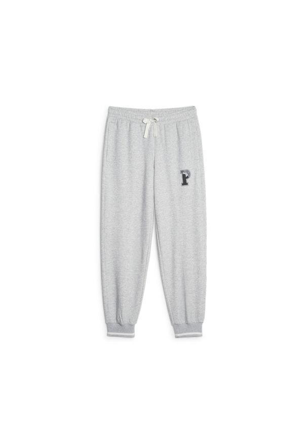 Spodnie Kobieta Puma Squad szary. Kolor: szary. Sport: fitness