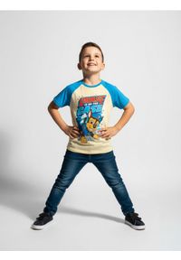 Sinsay - Koszulka PAW Patrol - niebieski. Kolor: niebieski. Materiał: bawełna. Długość rękawa: krótki rękaw. Długość: krótkie. Wzór: nadruk #1
