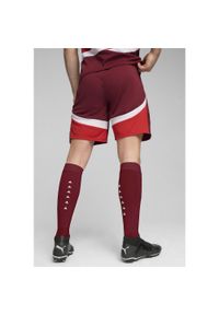 Puma - Męska replika spodenek do piłki nożnej reprezentacji Szwajcarii PUMA. Kolor: czerwony