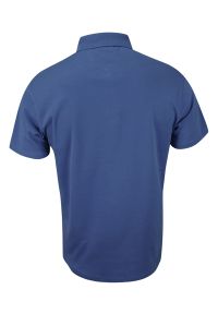 Expoman - Koszulka POLO, Casualowa, Niebieska Męska, Krótki Rękaw, Jednokolorowa, T-shirt -EXPOMAN. Okazja: na co dzień. Typ kołnierza: polo. Kolor: niebieski. Materiał: bawełna. Długość rękawa: krótki rękaw. Długość: krótkie. Styl: casual #2