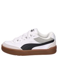 Puma - Buty męskie PUMA Park Lifestyle SK8. Kolor: szary, biały, wielokolorowy
