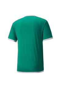 Koszulka męska Puma teamLIGA Jersey. Kolor: zielony, biały, wielokolorowy. Materiał: jersey