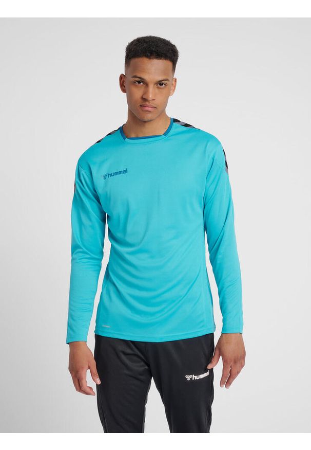 Hummel koszulka męska z długim rękawem hml Authentic Poly Jersey. Kolor: wielokolorowy, fioletowy, niebieski, zielony. Materiał: jersey. Długość rękawa: długi rękaw. Długość: długie