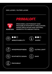 4f - Kurtka puchowa trekkingowa Primaloft Black Eco męska - szara. Typ kołnierza: kołnierzyk stójkowy. Kolor: szary. Materiał: puch. Wzór: gładki. Styl: klasyczny