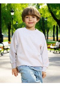 Sinsay - Bluza - szary. Kolor: szary