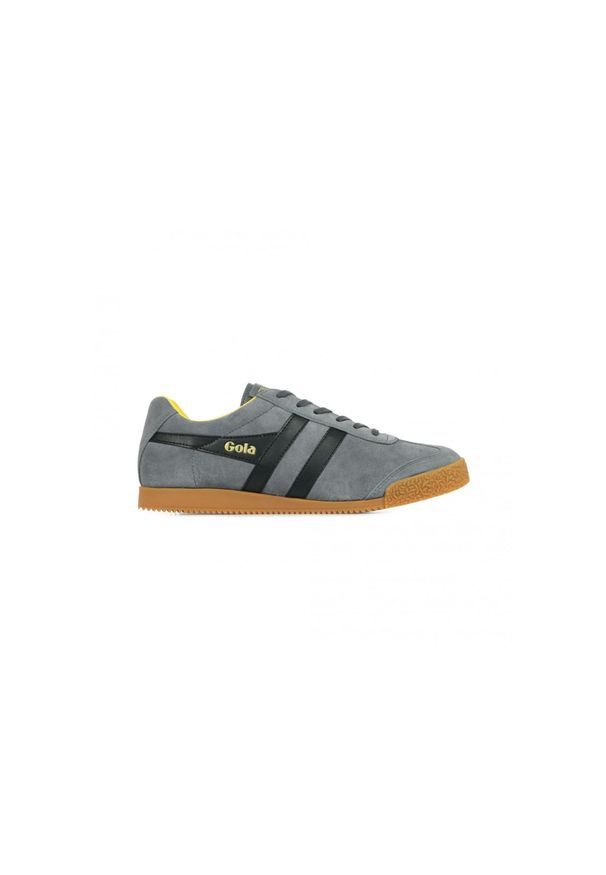 Buty do chodzenia męskie Gola Harrier Suede. Zapięcie: sznurówki. Kolor: czarny, wielokolorowy. Materiał: materiał. Szerokość cholewki: normalna. Sport: turystyka piesza