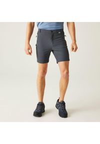 Regatta - Spodenki Mountain Shorts II. Kolor: szary. Materiał: poliamid, elastan