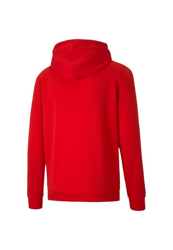 Puma - Męska Bluza Z Kapturem TeamGoal 23. Typ kołnierza: kaptur. Kolor: czerwony