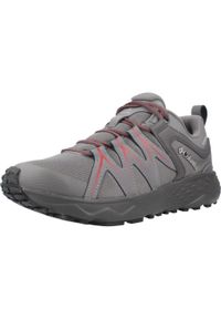 columbia - Buty COLUMBIA PEAKFREAK ROAM Szary. Kolor: szary. Sport: turystyka piesza