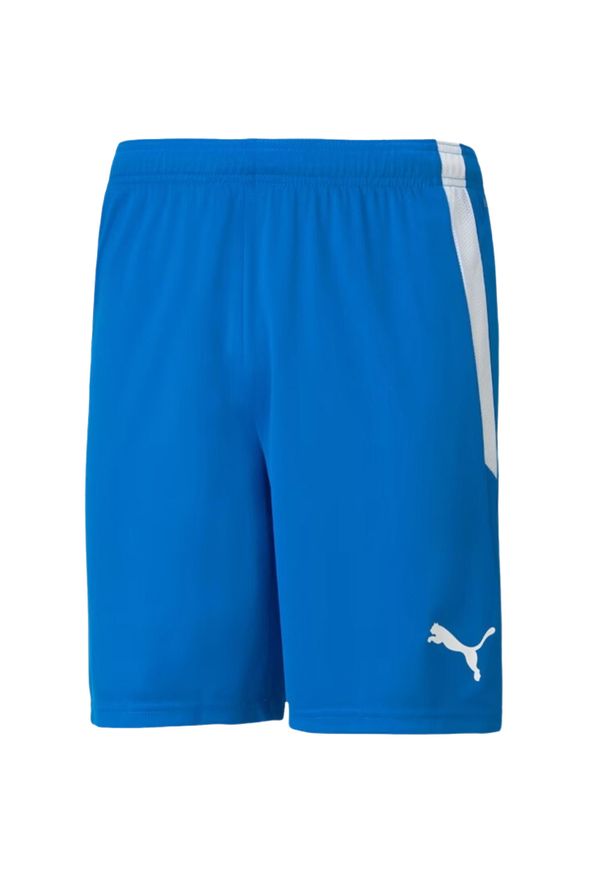 Puma - Męskie Spodenki Team Liga. Kolor: niebieski