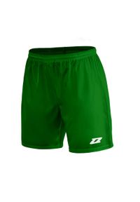 ZINA - Spodenki piłkarskie dla dzieci Zina Iluvio Junior meczowe. Kolor: zielony #1