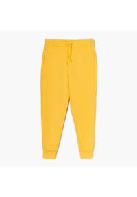 Cropp - Żółte joggery basic - Żółty. Kolor: żółty