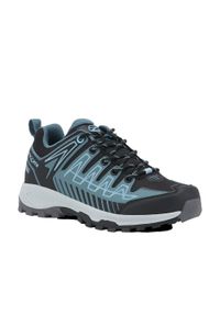 TREZETA - Damskie buty turystyczne Trezeta Thunder. Kolor: szary. Styl: sportowy #1
