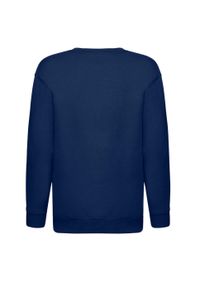 FRUIT OF THE LOOM - Bluza Dziecięca Premium W Komplecie. Kolor: niebieski
