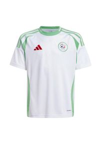 Adidas - Koszulka Algeria 24 Home Kids. Kolor: zielony, biały, wielokolorowy