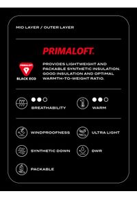 4f - Kurtka puchowa trekkingowa Primaloft Black Eco męska - szara. Typ kołnierza: kołnierzyk stójkowy. Kolor: szary. Materiał: puch. Technologia: Primaloft. Wzór: gładki. Sport: turystyka piesza, wspinaczka