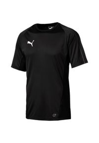 Puma Final Training Jersey L - Oddychająca koszula sportowa mężczyźni. Kolor: wielokolorowy. Materiał: jersey