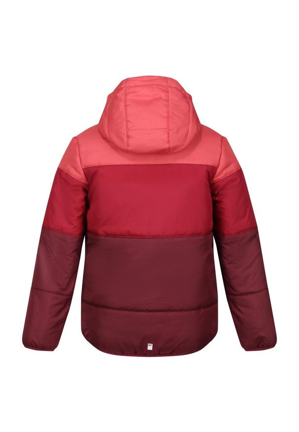 Regatta - Kurtka Dziecięca Lofthouse VII Terrain Print Padded Jacket. Kolor: czerwony. Wzór: nadruk