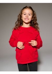 Sinsay - Bluza crewneck z ozdobnymi kokardami - czerwony. Typ kołnierza: kokarda. Kolor: czerwony #1
