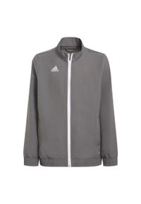 Adidas - Bluza piłkarska dla dzieci adidas Entrada 22 Presentation Jacket. Kolor: szary. Sport: piłka nożna