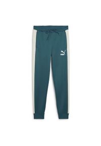 Spodnie sportowe męskie Puma 53948522. Kolor: wielokolorowy. Styl: sportowy