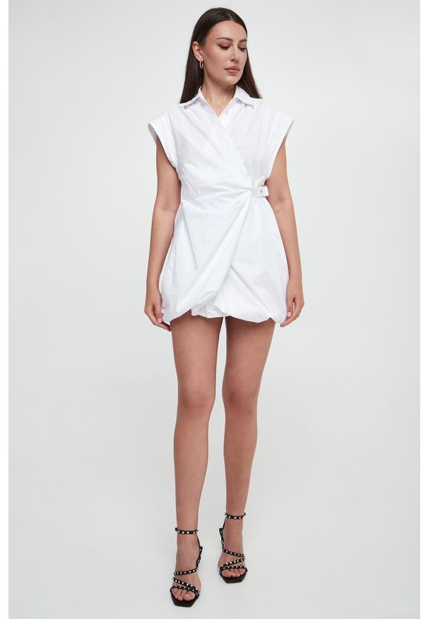 Pinko - Sukienka mini bombka Gene PINKO. Typ sukienki: bombki. Długość: mini