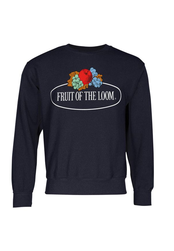 FRUIT OF THE LOOM - Męska Bluza Z Nadrukiem Logo W Stylu Vintage. Kolor: niebieski. Wzór: nadruk