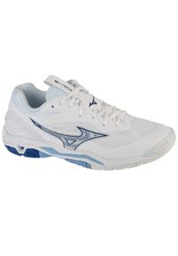 Buty halowe Mizuno Wave Stealth. Kolor: wielokolorowy, niebieski, biały. Materiał: skóra, materiał, syntetyk, tkanina, guma. Model: Mizuno Wave. Sport: piłka ręczna #1