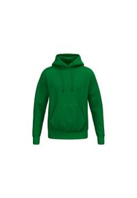 ERIMA - Bluza z kapturem dla dzieci Erima TS. Typ kołnierza: kaptur. Kolor: zielony #1