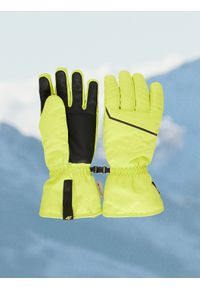 4f - 4F Rękawiczki narciarskie Thinsulate z membraną NeoDry męskie - zielone M. Kolor: zielony. Materiał: materiał. Technologia: Thinsulate. Wzór: paski. Sezon: zima. Sport: narciarstwo #1