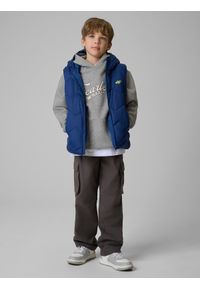 4f - 4F Bezrękawnik z wypełnieniem syntetycznym chłopięcy - granatowa 152 (11-12 lat). Okazja: na spacer, na co dzień, na uczelnię. Typ kołnierza: kołnierzyk stójkowy. Kolor: niebieski. Materiał: syntetyk. Długość rękawa: bez rękawów. Sezon: lato. Styl: casual #2