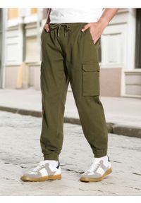 Sinsay - Spodnie jogger - khaki. Kolor: brązowy. Materiał: włókno, tkanina, bawełna