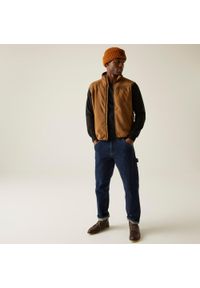 Regatta - Męski kamizelka Frankie. Kolor: brązowy. Sport: turystyka piesza #1