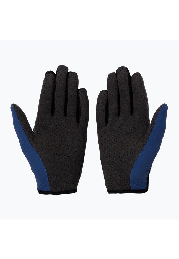 Rękawiczki rowerowe męskie Alpinestars Drop 6.0. Kolor: niebieski