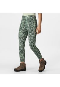 Holeen Regatta damskie turystyczne legginsy. Kolor: zielony. Materiał: poliester, elastan #1