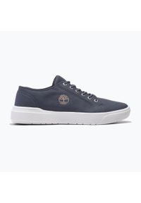 Trampki męskie Timberland Seneca Bay Low Lace. Kolor: niebieski