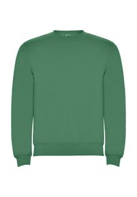 ROLY - Bluza Dziecięca Clasica Z Okrągłym Dekoltem. Kolor: zielony