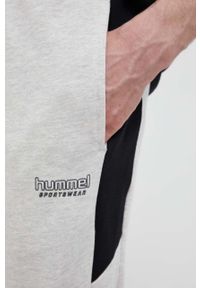 Hummel spodnie dresowe bawełniane kolor szary gładkie. Kolor: szary. Materiał: bawełna, dresówka. Wzór: gładki #2