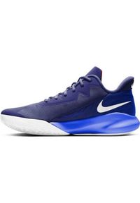 Buty koszykarskie męskie Nike Precision IV. Zapięcie: sznurówki. Kolor: wielokolorowy, niebieski. Materiał: materiał, syntetyk. Szerokość cholewki: normalna