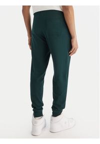 DC Shoes Spodnie dresowe ADYFB03072 GTP0 Zielony Regular Fit. Kolor: zielony. Materiał: bawełna #4
