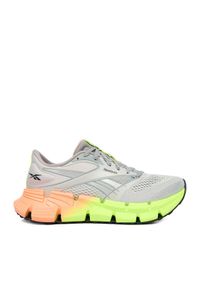 Reebok Buty do biegania EO-FLOATZIG 2 100244487 Szary. Kolor: szary. Materiał: materiał #1