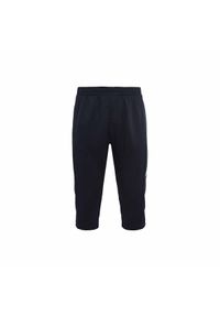 Spodnie do biegania Kappa Destre. Kolor: niebieski. Sport: piłka nożna, fitness, bieganie #1