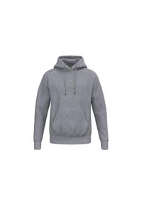 ERIMA - Bluza z kapturem dla dzieci Erima TS. Typ kołnierza: kaptur. Kolor: szary #1