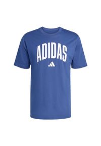 Adidas - Koszulka Collegiate Lineage Graphic. Kolor: niebieski. Materiał: bawełna. Sport: fitness