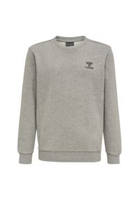 Bluza sportowa dla dzieci Hummel OffGrid. Kolor: szary. Materiał: wiskoza, bawełna. Wzór: aplikacja. Sport: piłka ręczna