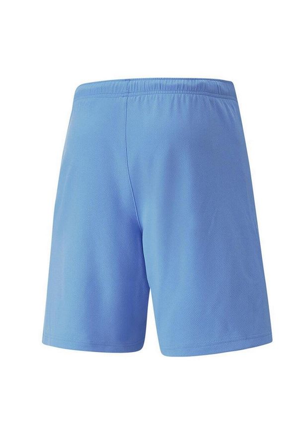Puma - Męskie Spodenki Dresowe TeamRISE. Kolor: niebieski. Materiał: dresówka