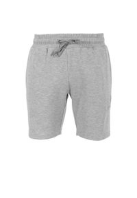 REECE - Szorty Reece Australia Studio. Kolor: szary. Materiał: materiał. Sport: fitness, koszykówka #1