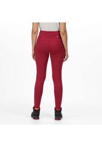 Holeen II Regatta damskie turystyczne legginsy. Kolor: różowy. Materiał: tkanina